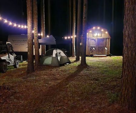 Missihippie Camping and Berries