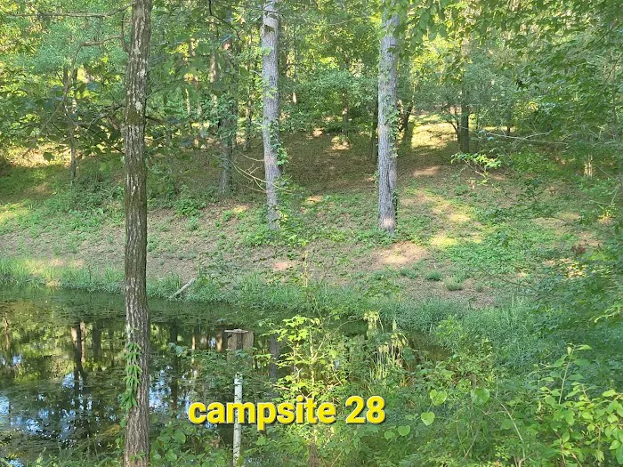 Missihippie Camping and Berries 5