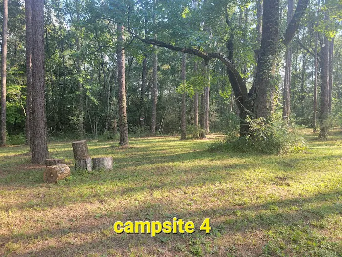 Missihippie Camping and Berries 8