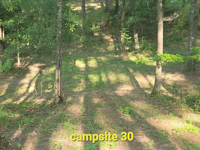 Missihippie Camping and Berries 9