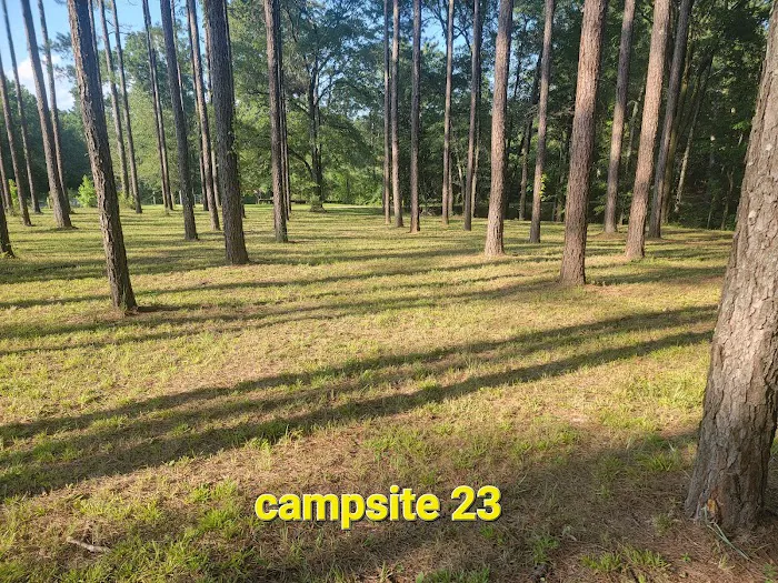 Missihippie Camping and Berries 10