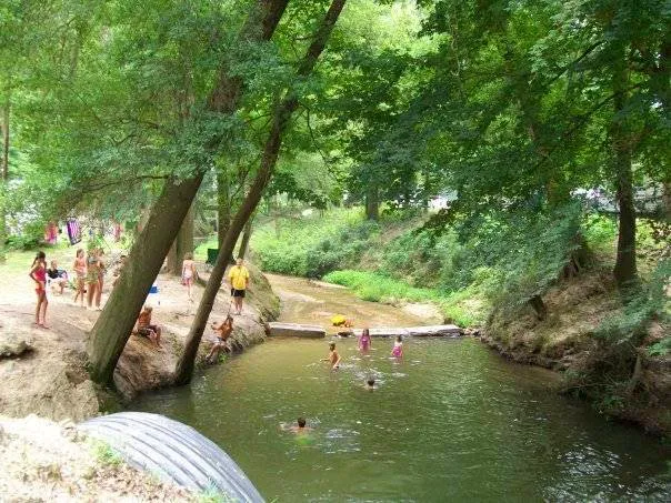 Hidden Springs RV Resort 10