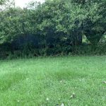 Oak Forest Estates