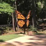 Bottomland RV Area