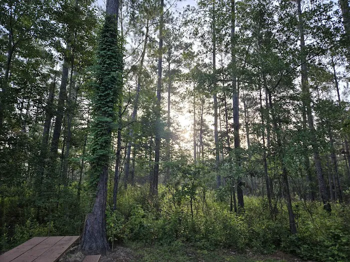 Bottomland RV Area 3