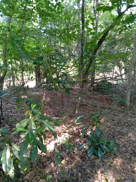 J & W Campground 1