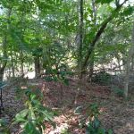 J & W Campground