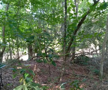 J & W Campground