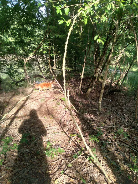 J & W Campground 4