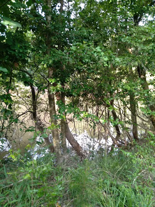 J & W Campground 8