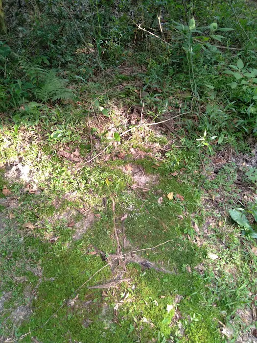 J & W Campground 6