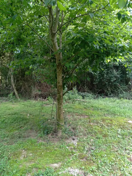J & W Campground 9