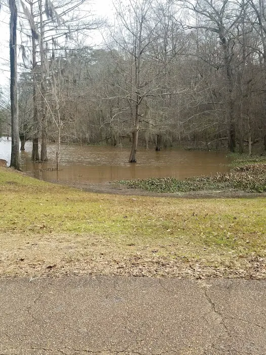 Low Head Dam 5
