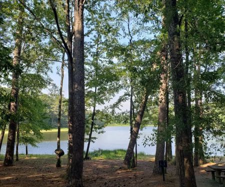 Roosevelt State Park Campground