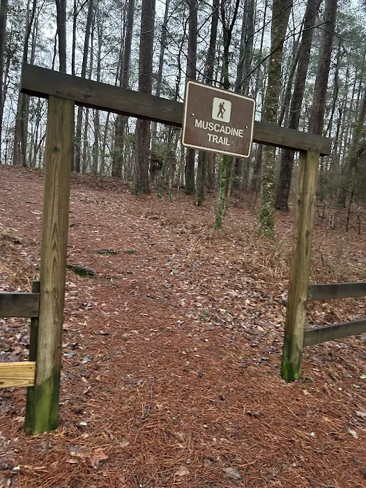 Roosevelt State Park Campground 4