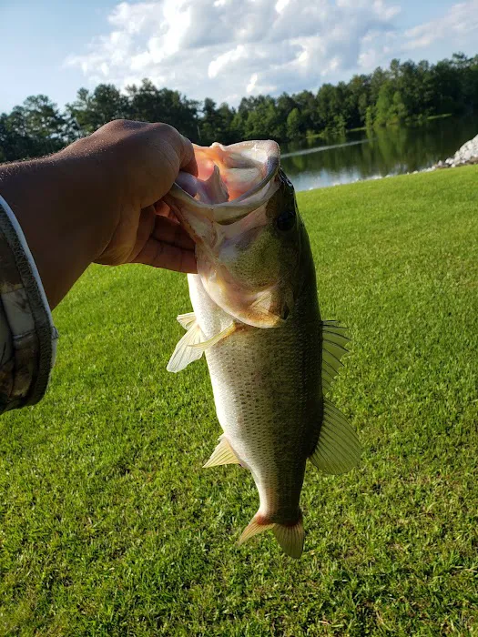 Lake Mike Conner 3