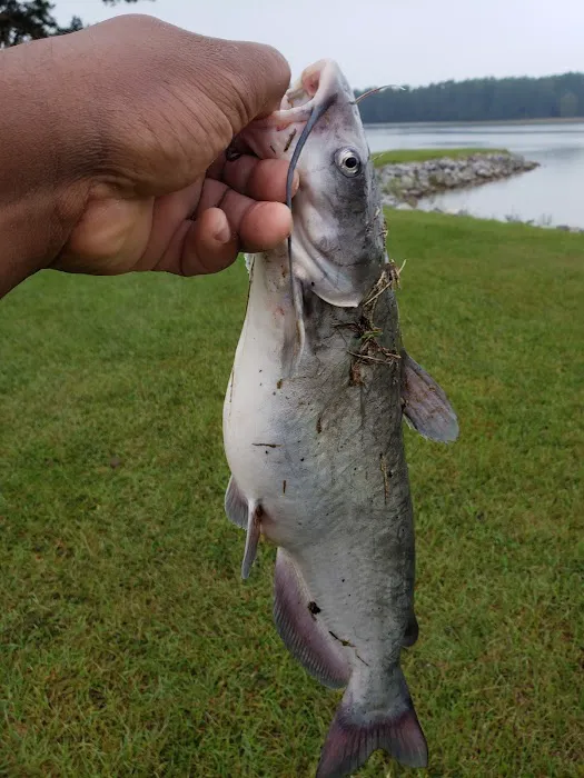 Lake Mike Conner 9