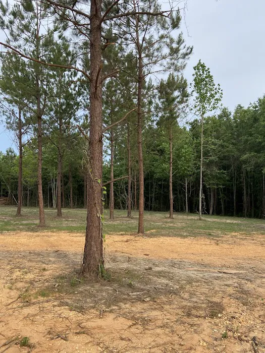 Hidden Ridge RV Park 2