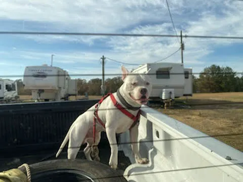 Sunny South RV Park 6