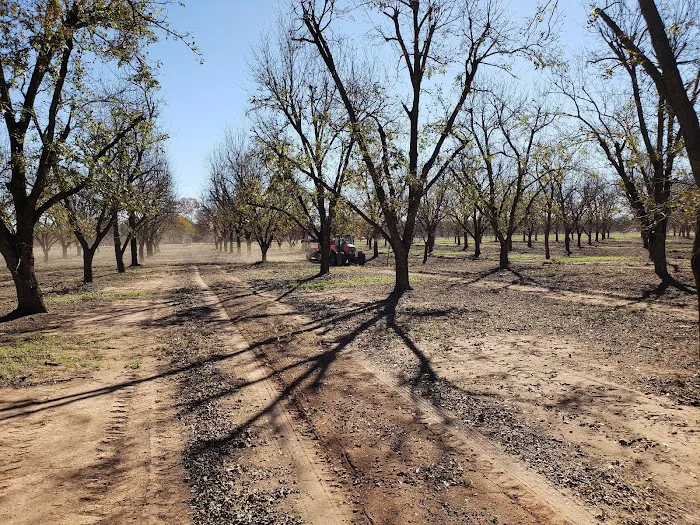 Pecan Haven R.V. Campground 3