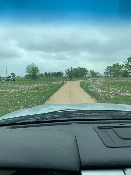 US 90 RV Park 4