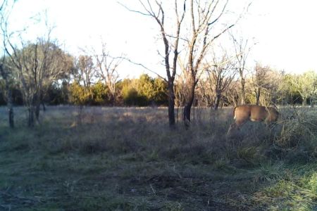Pidcoke RV Park