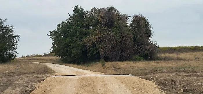 Pidcoke RV Park 7