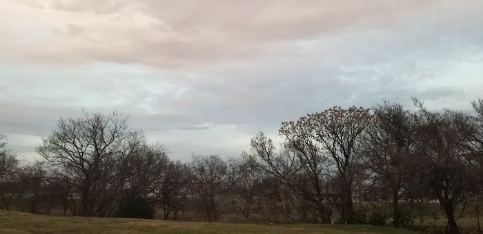 Cicada Springs RV Park 8