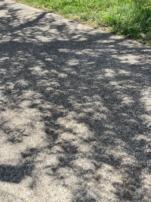 Picnic Area 5