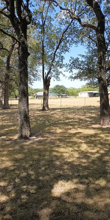 Picnic Area 8