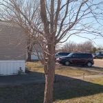 Pecan Village Mobile Home Comm