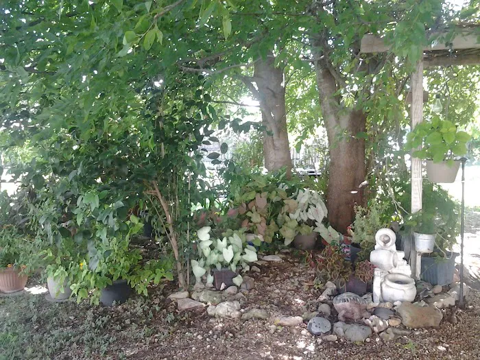Ancient Oak Mobile Home Park 5