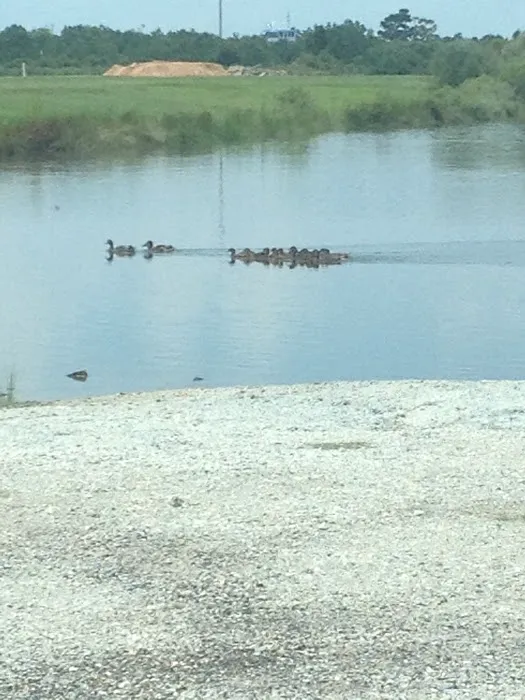Big Lake RV Park 4