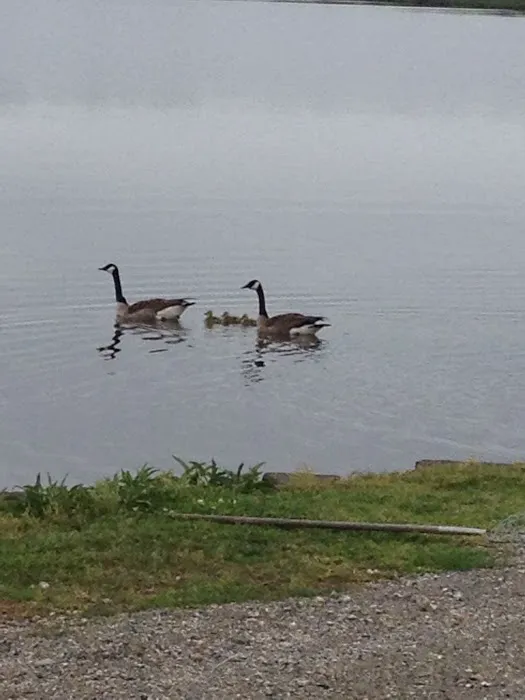 Big Lake RV Park 5
