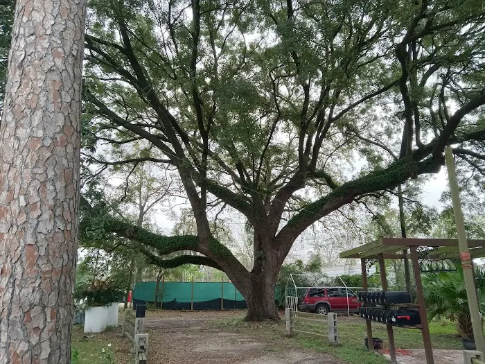 SHADY OAKS MOBILE HOME PARK LLC 3