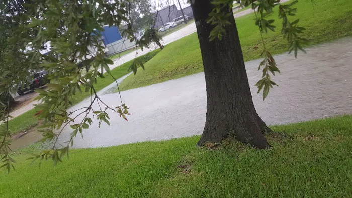 Sheldon Road RV Park 10