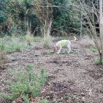 Northshore Park-A-Home