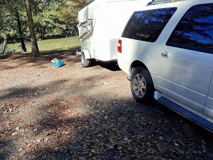 Dagmar WMA Disbursed Camping #4 6