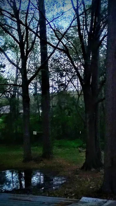 Pine Lake Mobile Home Court 10