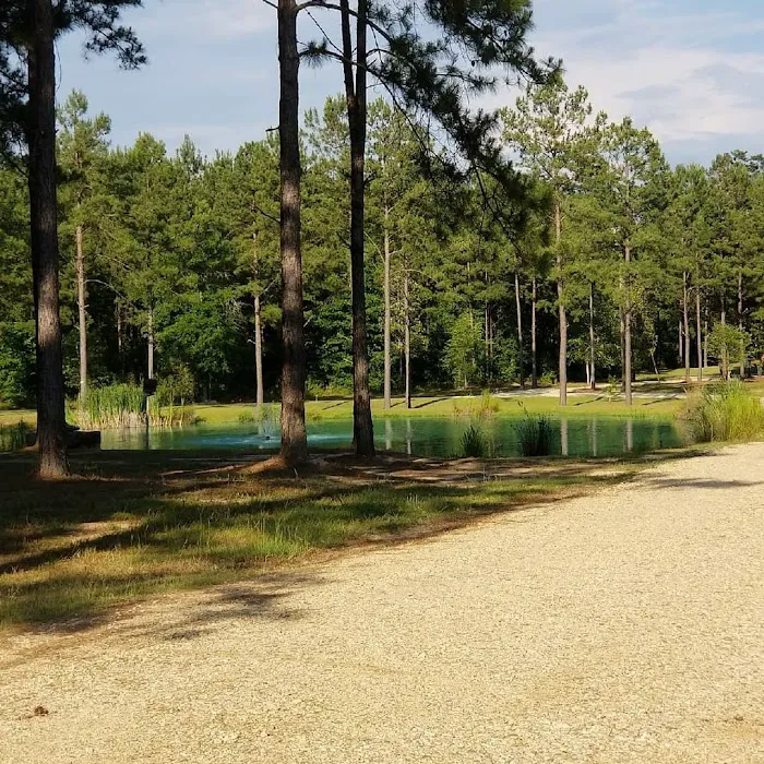 Bogue Chitto Swamp Cabins 1