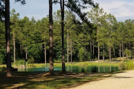 Bogue Chitto Swamp Cabins