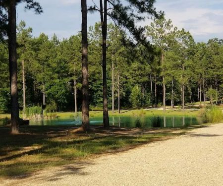 Bogue Chitto Swamp Cabins