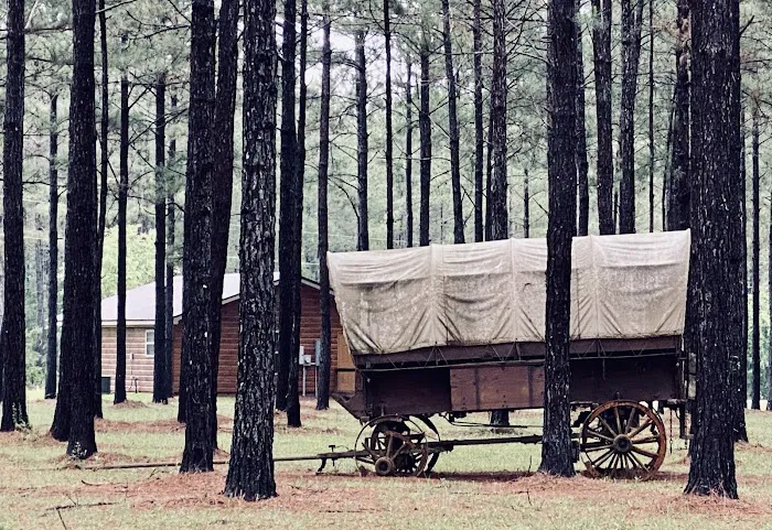 Bogue Chitto Swamp Cabins 5