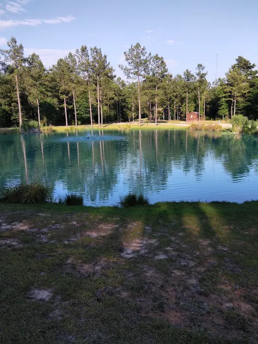 Bogue Chitto Swamp Cabins 9