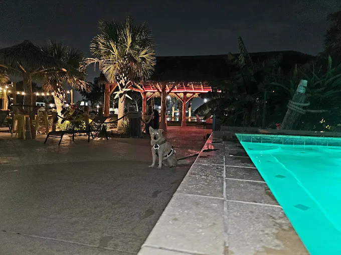 Iberia Oaks 9