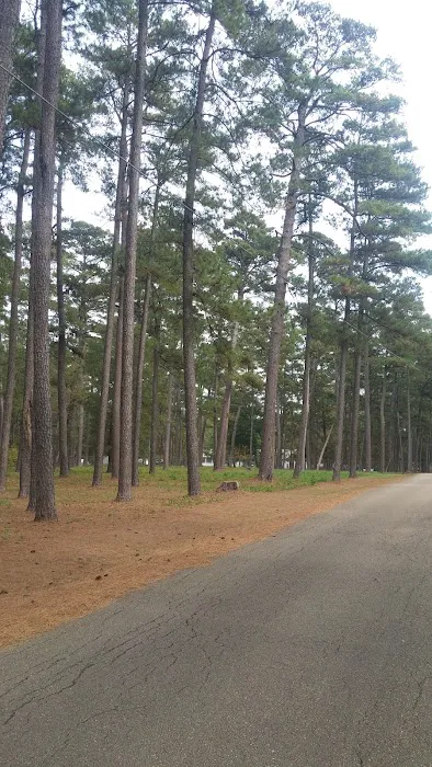 US Forestry Department 1