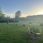 Jenkins Hill Campground