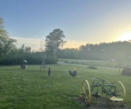 Jenkins Hill Campground