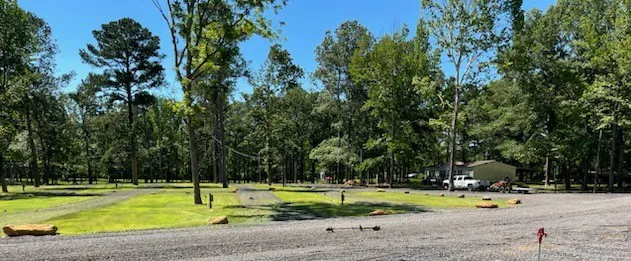 Forestry Department 1