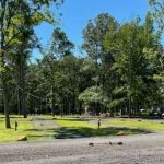 Forestry Department